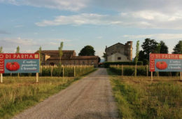 Festa dell'antico pomodoro Riccio di Parma (II edizione)