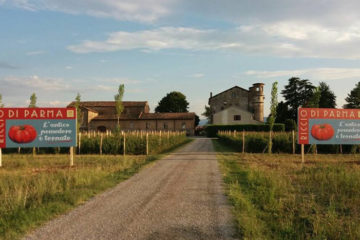 Festa dell'antico pomodoro Riccio di Parma (II edizione)