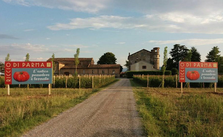 Festa dell'antico pomodoro Riccio di Parma (II edizione)